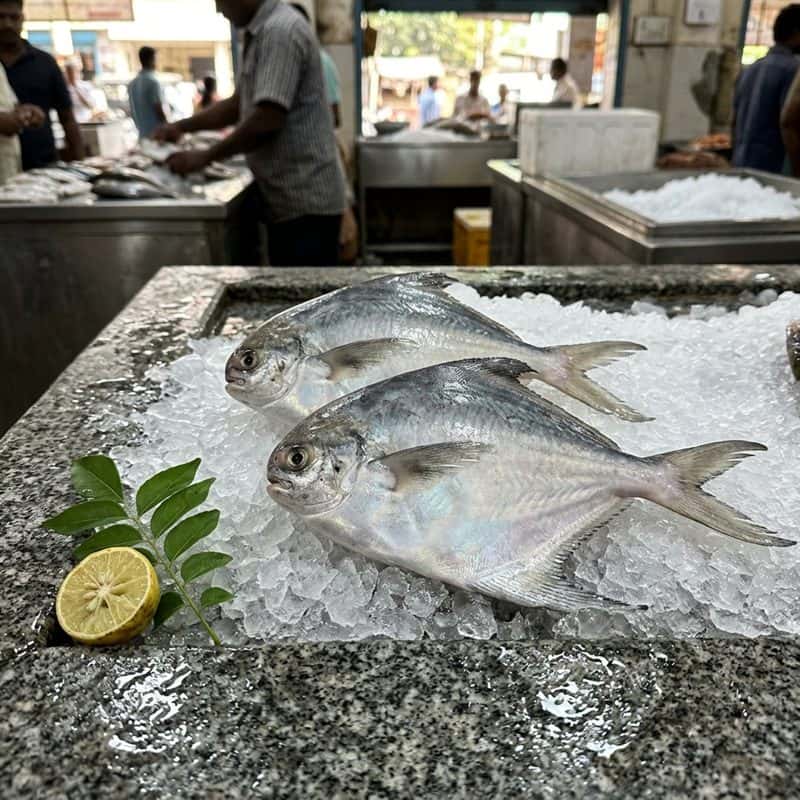 Pomfret (வொவ்வாள்)