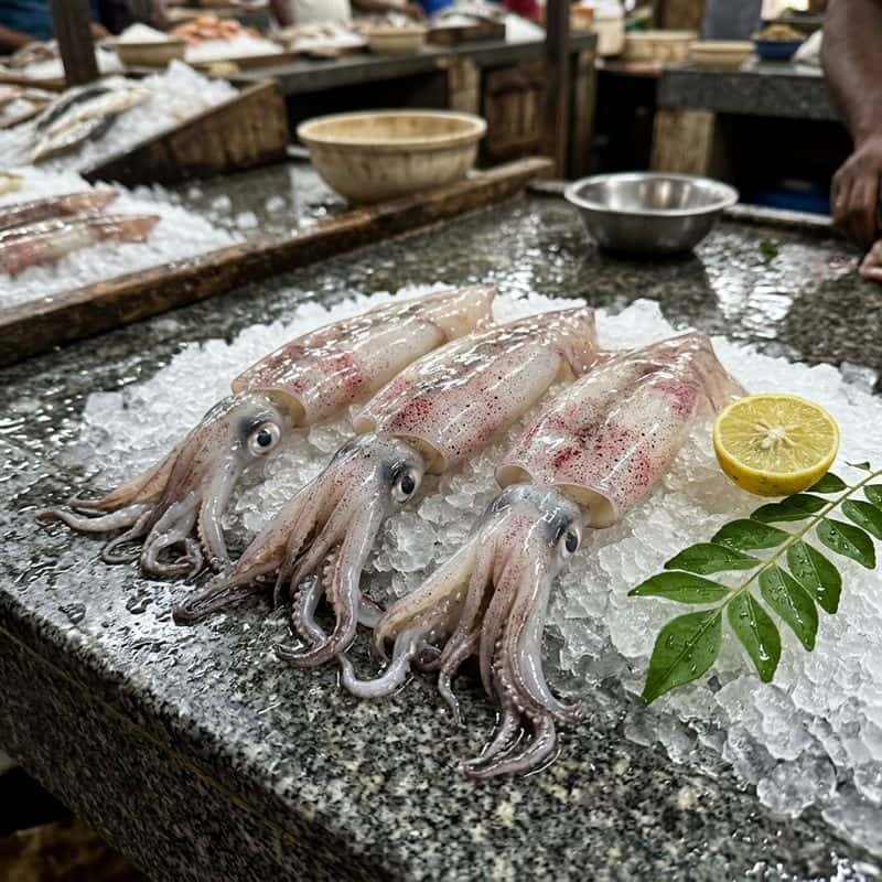 Squid medium (கணவாய் medium)