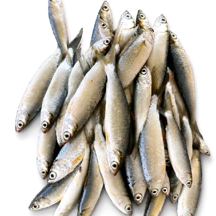 Thullu