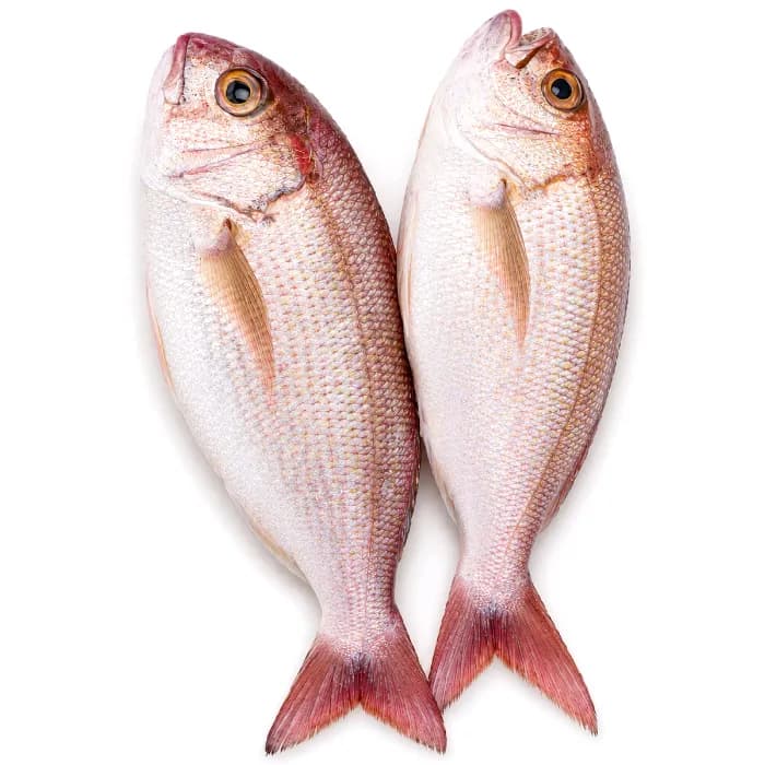 Kendal Fish