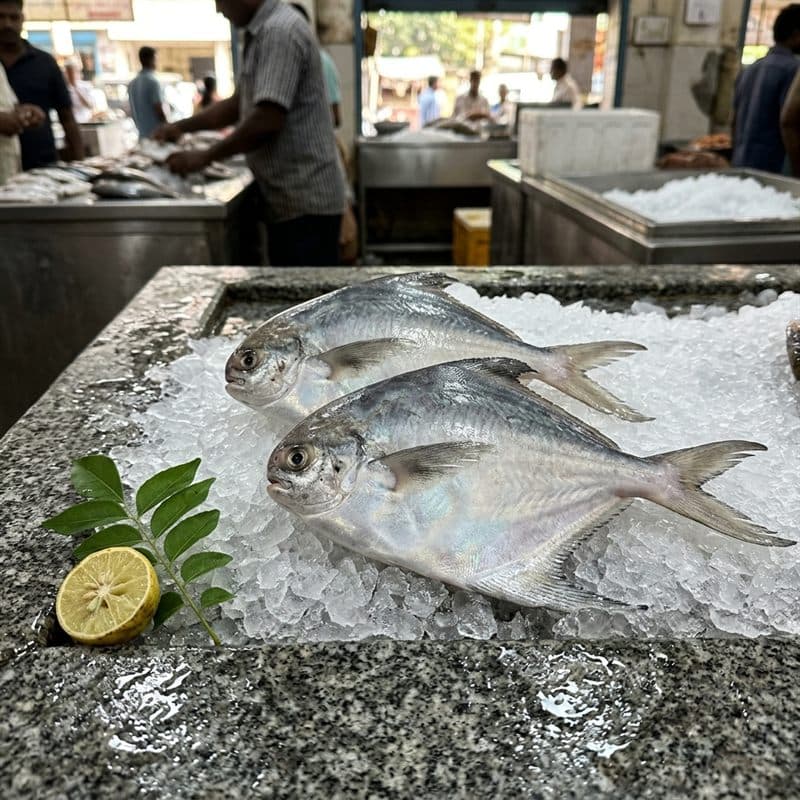 Pomfret